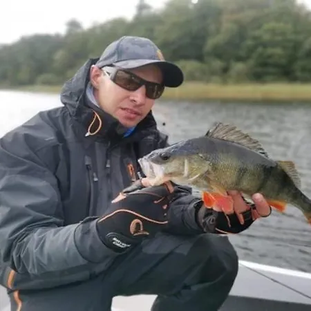By The Pond, Near Ko Obrzeg Niezyn
