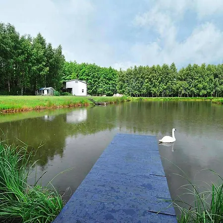 By The Pond, Near Ko Obrzeg *
