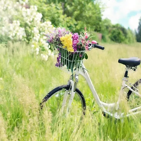 Hébergement de vacances By The Pond, Near Ko Obrzeg *